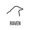 Raven icon or logo in modern line style