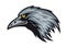 Raven mascot