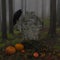 Raven In A Misty Forest With A Tomb and pumpkins