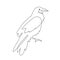 Raven one-line art, crow hand drawn continuous contour. Doodle, sketch style, minimalism. Croaking ominous prophet, symbol of