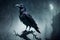 The Raven\\\'s Haunting Hour