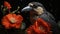 Raven\\\'s Reverie: Crow Among Red Poppies on Black Canvas