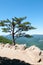 Raven`s Roost Overlook, Blue Ridge Parkway Mountains