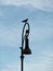 A raven sitting proudly upright on the top of a streetlamp