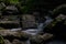 Ravenna canyon in the black forest Schwarzwald, Baden-Wuerttemberg, Germany