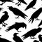 Ravens seamless pattern