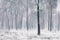 Ravens sitting on a snowy tree in winter forest