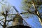 RAVENSTEIN, NETHERLANDS - APRIL 21. 2019: View on sails of ancient windmill through branches of a tree against cloudless blue sky