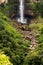 The ravine below Karkloof water fall in Kwa-Zulu Natal, South Africa