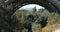 Ravine beneath the Colorado Street Bridge in Pasadena California