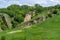 Ravine covered with greenery. Landscape valley with geological faults.