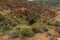 Ravine in mountainous area with vegetation