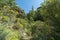 Ravine in southern Spain with abundant vegetation