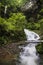 Ravine stream in the Black Mountain Valley