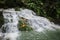 Ravine stream in the Black Mountain Valley