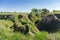 Ravine top with steep clay slopes overgrown with single trees