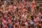 Raving crowd of young people in the Holi Festival, a popular ancient Indian Hindu celebration of colors, life and joy, Magdeburg