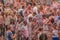 Raving crowd of young people in the Holi Festival, a popular ancient Indian Hindu celebration of colors, life and joy, Magdeburg