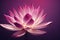 Ravishing blossom pink lotus flower with realistic detail illustration.