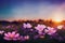 Ravishing closeup flower scenery in natural landscape with starry night sky.