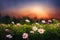 Ravishing closeup flower scenery in natural landscape with starry night sky.