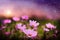 Ravishing closeup flower scenery in natural landscape with starry night sky.