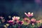 Ravishing closeup flower scenery in natural landscape with starry night sky.