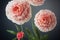 Ravishing macro closeup pink carnation flower with realistic detail.