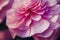 Ravishing macro closeup pink carnation flower with realistic detail.