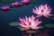 Ravishing pink waterlily floating on water with realistic detail blossom.