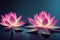 Ravishing pink waterlily floating on water with realistic detail blossom.