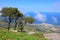Ravishing spring landscape of Sicilian nature