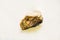 Raw amber of a large fraction of yellow brown color scattered isolated on a white background, fossilized fossil resin.