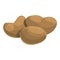 Raw baobab fruit icon, cartoon style