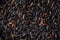 Raw black rice sort Bio-Nerone in detail