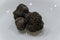 Raw black truffles on a plate