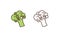 Raw broccoli linear vector icon. Fresh organic vegetable, delicious vegan food outline illustration. Nutritious salad
