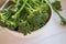 Raw broccolini green vegetable close-up