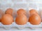 Raw brown chicken eggs in white semitransparent plastic packaging, neutral background