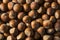 Raw Brown Organic Shelled Hazelnut Filberts