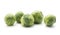 Raw Brussels sprout isolated