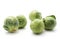 Raw Brussels sprout isolated