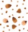 Raw buckwheat grains flying on white background, closeup