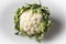 Raw cauliflower on a table ready to be cleaned and cooked