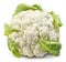 Raw cauliflower, whole vegetable on white background