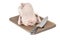 Raw chicken carcass on cutting board isolated