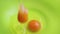 Raw chicken egg falls into a green plastic bowl, slow motion close-up. One egg is already there. The process of making pancakes. A