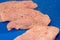 Raw chicken fillets on plastic cutting board. Sliced and seasoned uncooked meat. Ready-to-cook full frame background. Meal prepari