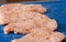 Raw chicken fillets seasoned with salt and chili mixed close up full frame with selective focus. Boneless, skinless, raw meat.