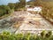 Raw coffee beans on drying field